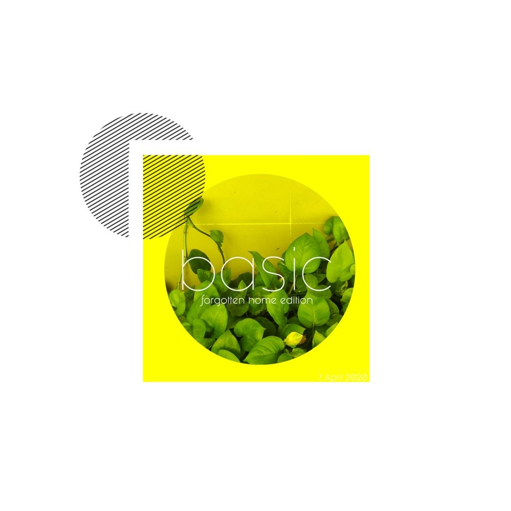 Basic graphic journal 15